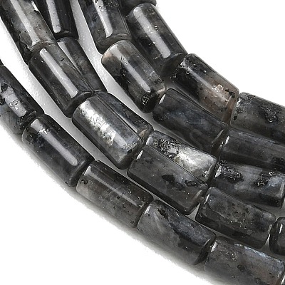 Natural Larvikite Beads Strands G-B091-A20-01-1