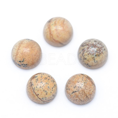 Natural Picture Jasper Cabochons G-E492-H-04-1