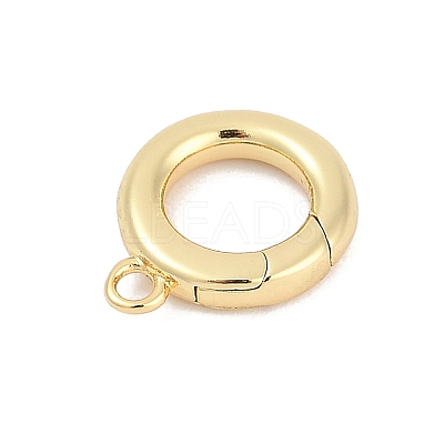 Brass Spring Gate Clasps KK-M311-25G-02-1