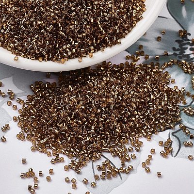 MIYUKI Delica Beads X-SEED-J020-DB2524-1