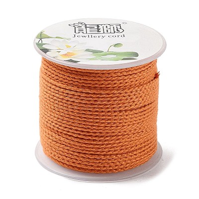 20M Polyester Braided Cord for Jewelry Making OCOR-G015-04A-19-1