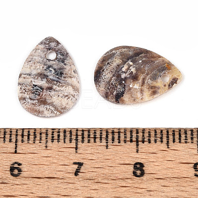 Natural Akoya Shell Pendants SHEL-T020-22-1