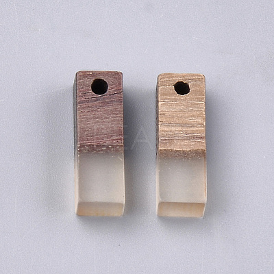Resin & Wood Pendants X-RESI-S358-19C-1