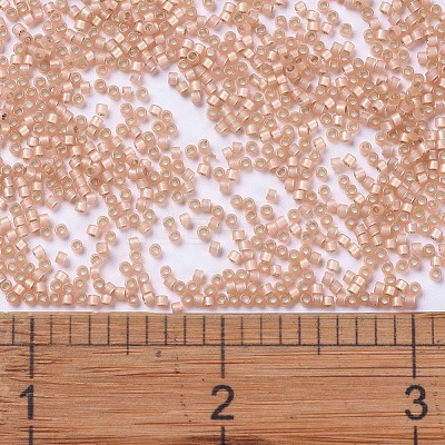 MIYUKI Delica Beads SEED-X0054-DB0622-1