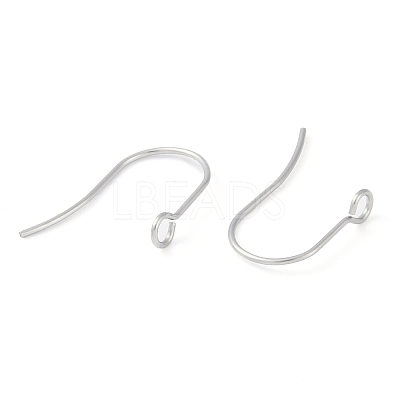 Tarnish Resistant 316 Surgical Stainless Steel Earring Hooks LS-X-STAS-P162-13P-B01-1