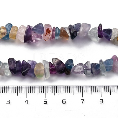 Natural Fluorite Chip Bead Strands G-M205-08-1