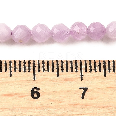Natural Kunzite Beads Strands G-G259-D11-4mm-1