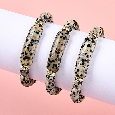 Natural Zebra Jasper Beads Stretch Bracelets BJEW-T022-04D-1