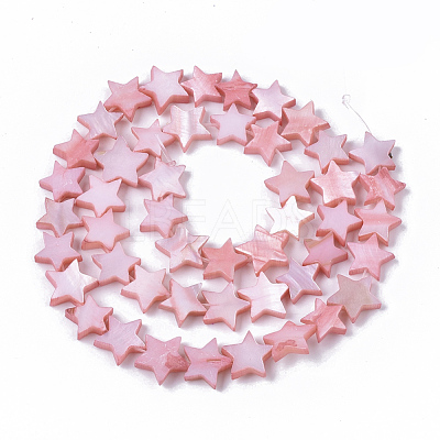 Freshwater Shell Beads Strands SHEL-T014-009F-1