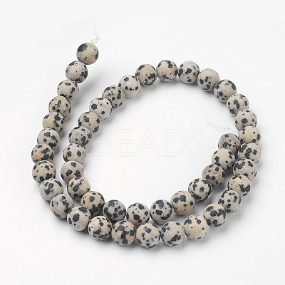 Natural Dalmatian Jasper Bead Strands G-G735-68F-8mm-1