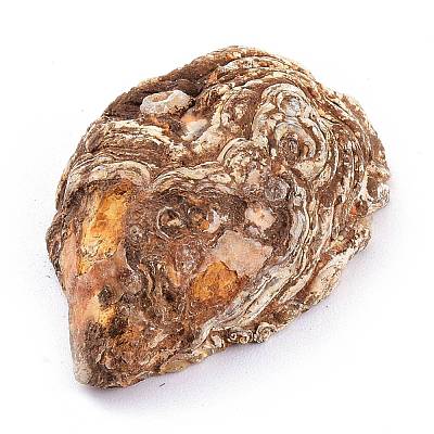 Natural Geode Agate Druzy Agate Display Decorations DJEW-I014-01A-1