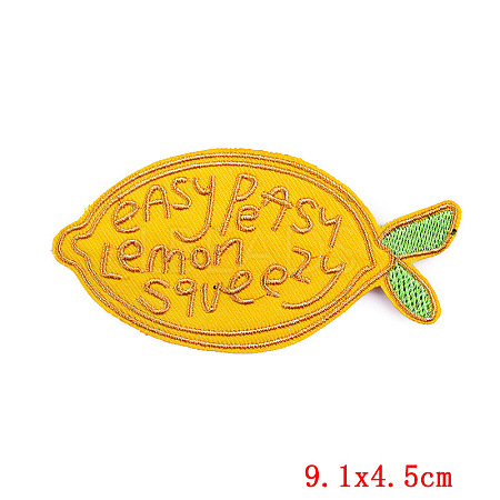 Word Pattern Computerized Embroidery Cloth Iron on/Sew on Patches PATC-PW0002-16B-1