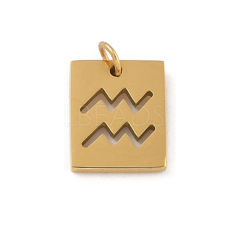 304 Stainless Steel Charms STAS-R001-03G-11-1