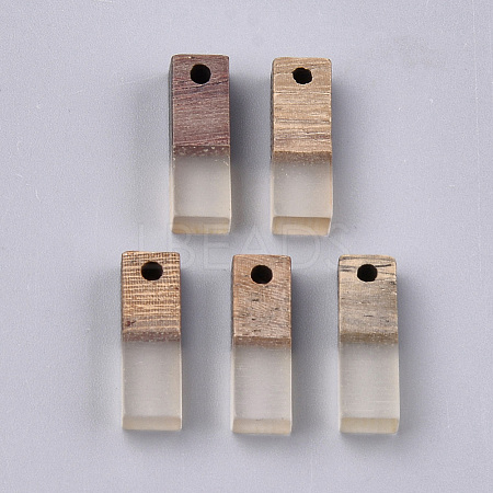 Resin & Walnut Wood Pendants RESI-S358-19C-1