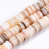Natural Freshwater Shell Beads Strands SHEL-N003-02-2