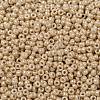 MIYUKI Round Rocailles Beads X-SEED-G008-RR0593-3