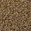 MIYUKI Delica Beads LS-X-SEED-J020-DB2155-3