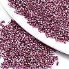 FGB 11/0 Grade A Glass Seed Beads SEED-S030-1203-1