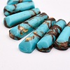 Assembled Bronzite and Synthetic Turquoise Beads Strands G-P298-F01-2