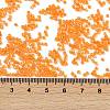 Electroplate Glass Seed Beads SEED-H003-10H-4