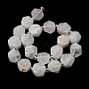 Natural Rainbow Moonstone Beads Strands G-P534-A06-01-3