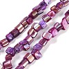 Dyed Natural Freshwater Shell Beads Strands X-SHEL-P016-01D-1