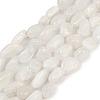 Natural Rainbow Moonstone Beads Strands G-G018-48-01-2