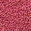 TOHO 11/0 Round Beads X-SEED-TR11-0405F-2