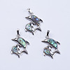 Abalone Shell/Paua Shell Pendants X-SSHEL-L008-11P-1