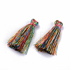 Polyester Tassel Pendant Decorations FIND-S260-D26-2