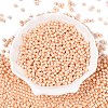 Glass Seed Beads SEED-T007-01A-1