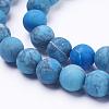 Dyed Natural Map Stone/Picasso Stone/Picasso Jasper Beads Strands G-F520-52-10mm-3