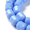 Opaque Glass Beads Strands GLAA-G112-03B-3