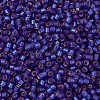 MIYUKI Delica Beads X-SEED-J020-DB0696-3