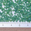 MIYUKI Round Rocailles Beads X-SEED-G007-RR0146FR-4