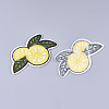 Computerized Embroidery Cloth Iron on/Sew on Patches X-FIND-T030-214-2