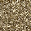 Plated Glass Bugle Beads SEED-S046-01B-22-3