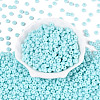 Opaque Colours Glass Seed Beads SEED-Q042-01A-D02-2