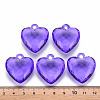 Transparent Acrylic Pendants TACR-T024-03B-936-4