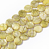 Drawbench Freshwater Shell Beads Strands SHEL-T014-012G-1