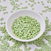 MIYUKI TILA Beads SEED-MY05-TL416FR-2