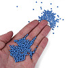8/0 Czech Opaque Glass Seed Beads SEED-N004-003A-11-5