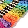 12 Skeins 12 Colors 6-Ply Polyester Embroidery Floss OCOR-M009-01B-01-2