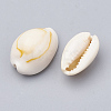 Natural Cowrie Shell Beads X-SSHEL-T004-07-2