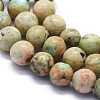 Natural Peruvian Turquoise(Jasper) Beads Strands G-E561-11-6mm-AB-3