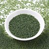 MIYUKI Round Rocailles Beads SEED-G007-RR0350-2
