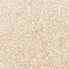 MIYUKI Round Rocailles Beads SEED-X0055-RR0281-3