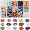 Natural Gemstone Chips Beads G-NB0001-53-1