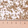 Cylinder Seed Beads X-SEED-H001-G17-2