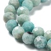 Natural Amazonite Beads Strands G-J400-E11-08-4